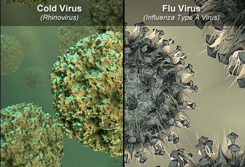 Wyperfeld Medical Clinic | Article: What is the difference between a flu and a cold?